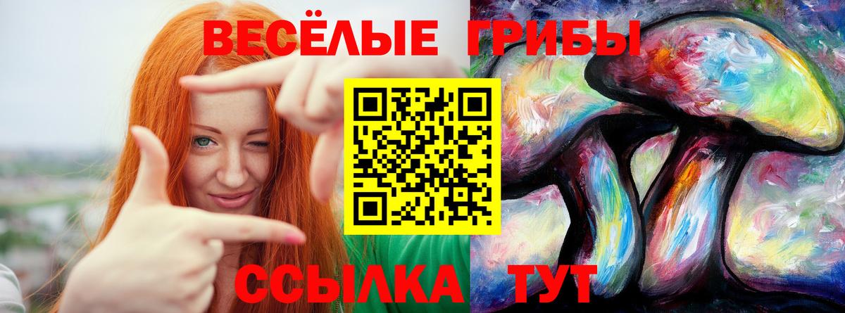 Тула  Псилоцибиновые грибы Cubensis  Вход с VPN 